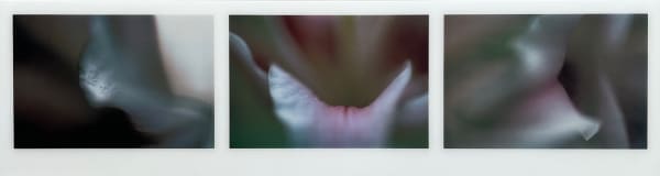 John Blakemore, Triptych, c.2007