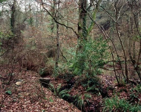 Jem Southam, The Painter's Pool, 17 February 2002 (left), 2003