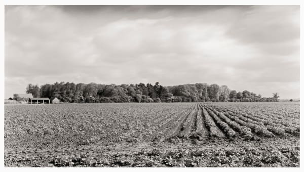 John Blakemore, From "England's Glory" (Near Fulbeck), 1984