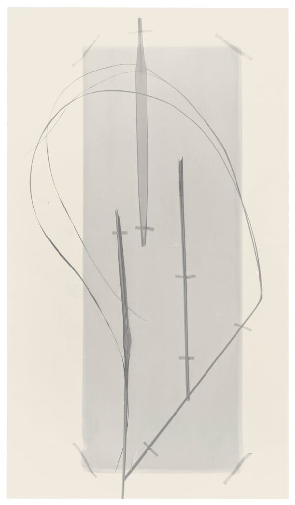 Landscape and still life 1980-2010
