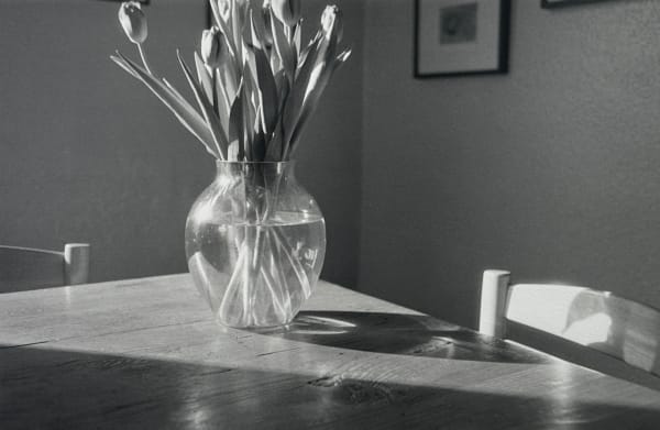 John Blakemore, Tulips from "Kitchen Series", 1988