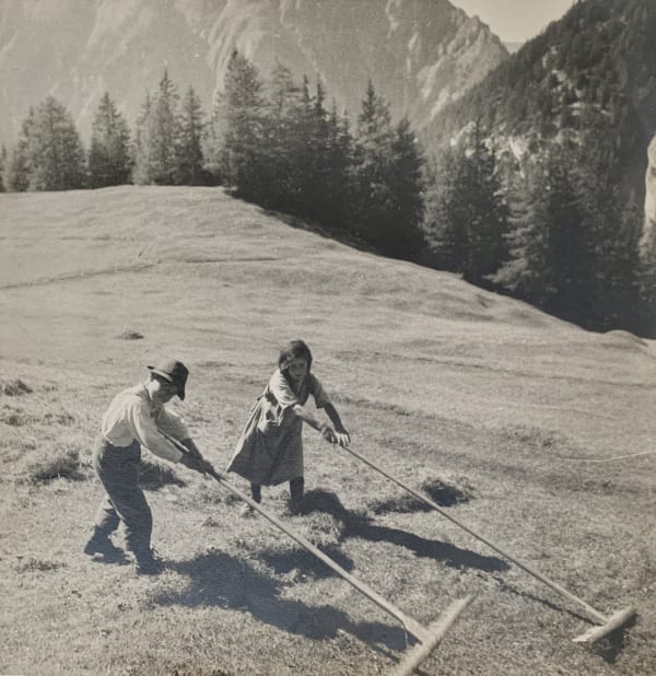 Betti Mautner, Untitled (Harvesting), 1935