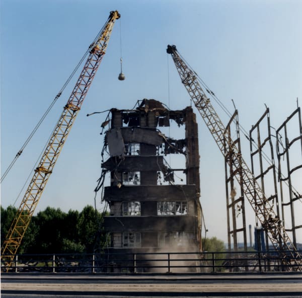 Peter Mitchell, Memento Mori, 2016