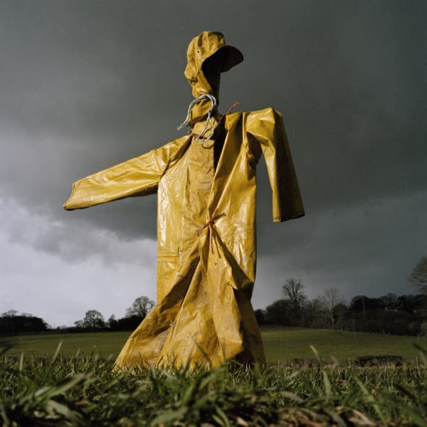 Peter Mitchell, Scarecrow, 2016