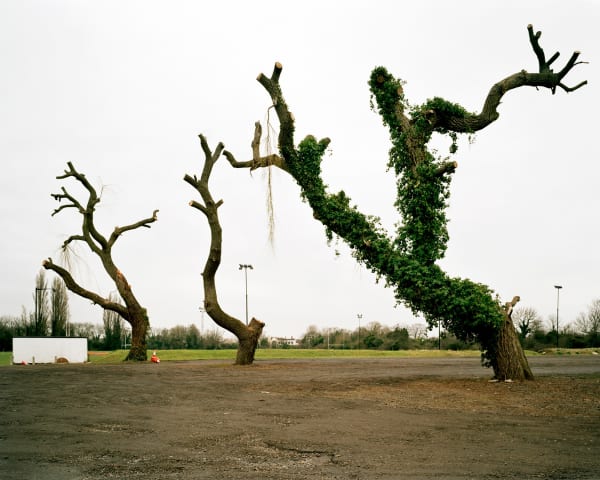 Mark Power, A System of Edges (26 Different Endings) 23 (P131 > S), 2005