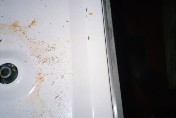 Anna Fox, Cockroach Diary, 1996