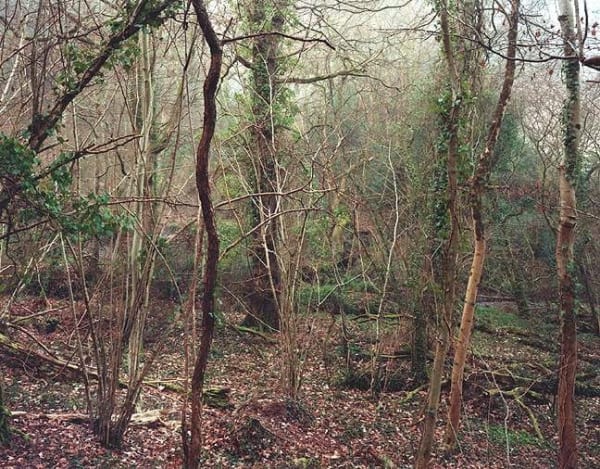 Jem Southam, The Painter's Pool, 18 March 2003 (right), 2003