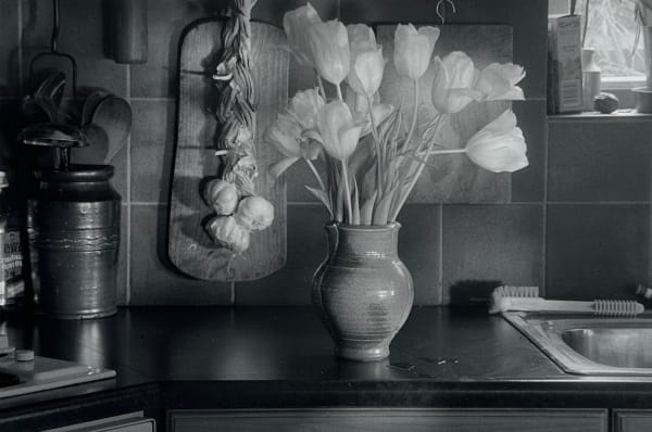 John Blakemore, From the "Kitchen Series", 1980s