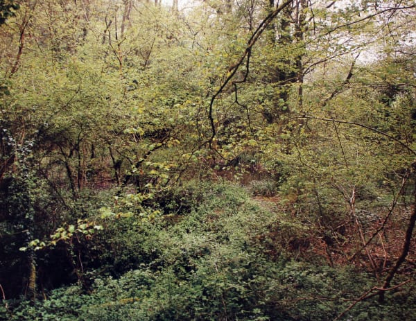 Jem Southam - The Painter's Pool, 01 May 2004, 2004