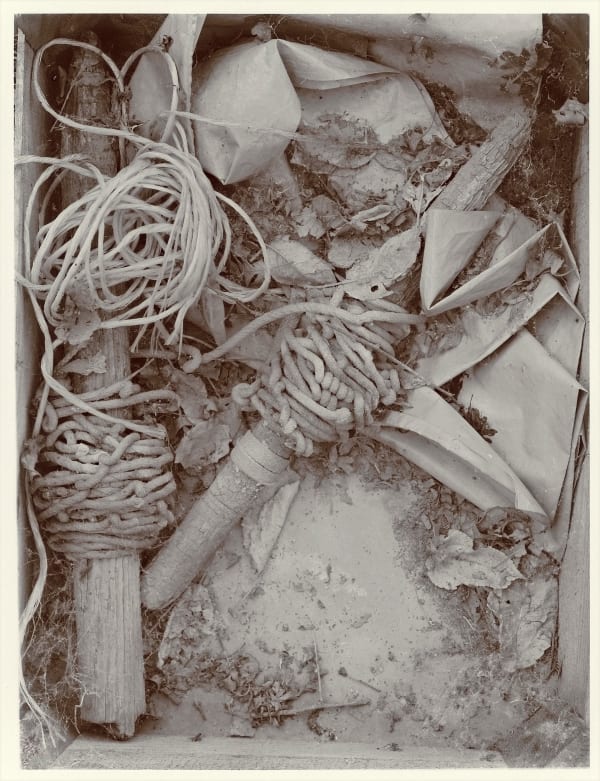 John Blakemore, The Neglected Garden, 1981