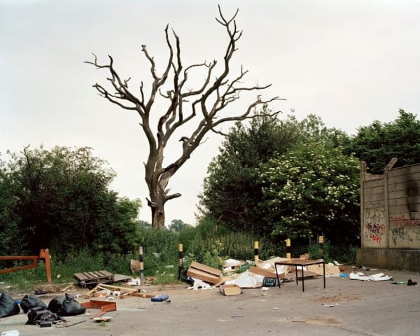 Mark Power, A System of Edges (26 Different Endings) 30 (P155 > S), 2005