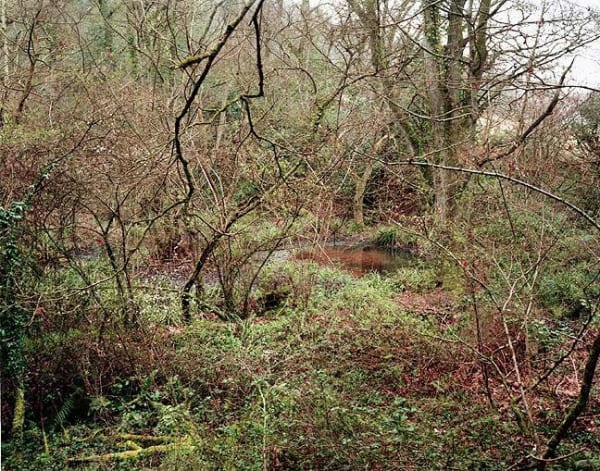 Jem Southam, The Painter's Pool, 28 March 2004, 2004