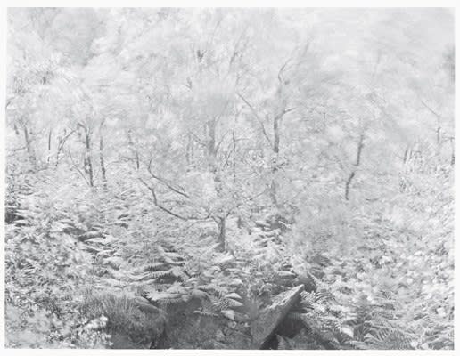 John Blakemore, From "Wind" Series II, No. 3, 1981