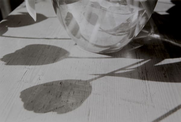 John Blakemore, From "Kitchen Series", 1985