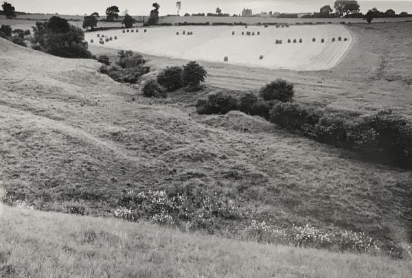Paul Hill, Field near Bradbourne, Summer 1982, 1982