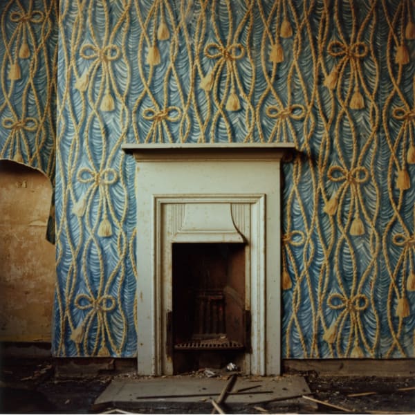 Peter Mitchell, Memento Mori, 2016