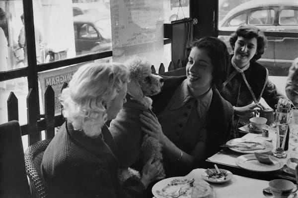 Bert Hardy, Bluebell Girls (Restaurant with poodle), 1954