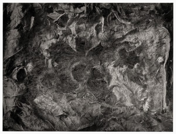 John Blakemore, Chimerical Landscapes, No. 4, 1990