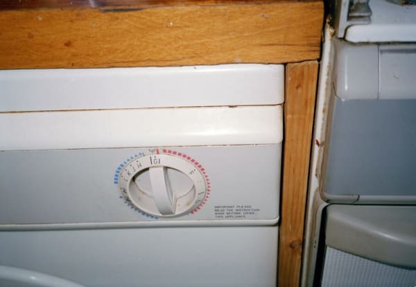Anna Fox, Cockroach Diary, 1996