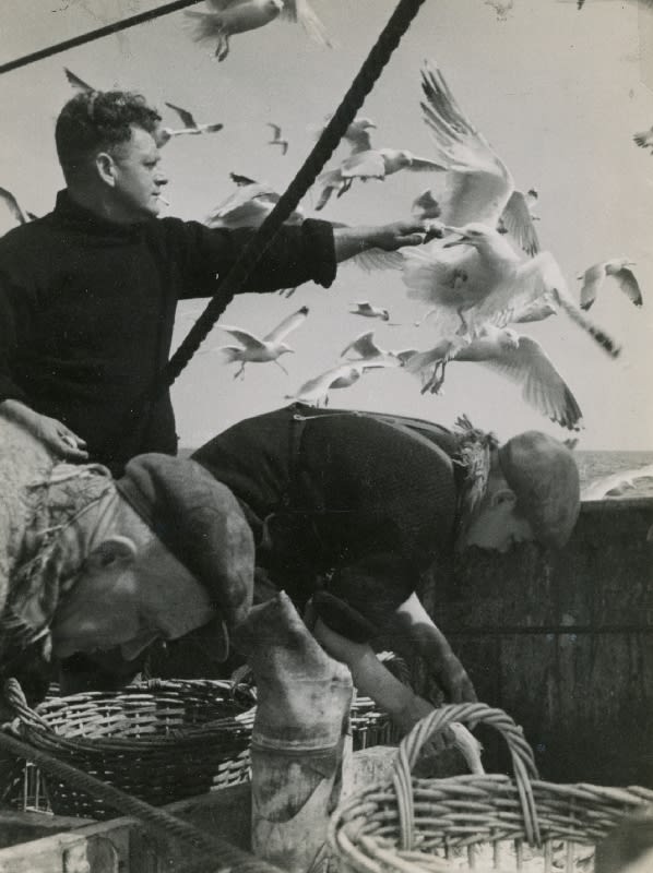 Bert Hardy, A Trawler in Wartime (Feeding the Gulls), 1942