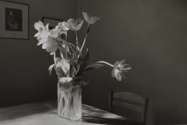 John Blakemore, From the "Kitchen Series" , 1986