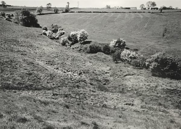 Paul Hill, Field near Bradbourne, Spring 1983, 1983