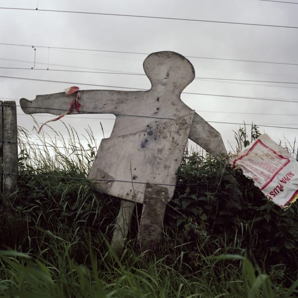 Peter Mitchell, Scarecrow, 2016