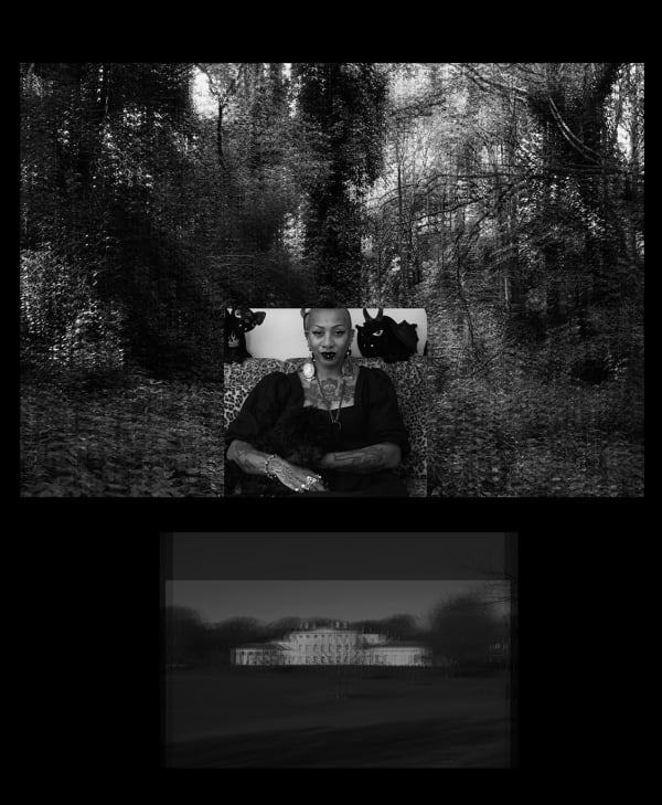 Jermaine Francis, Melodie above Kenwood Manor House, England, 2022