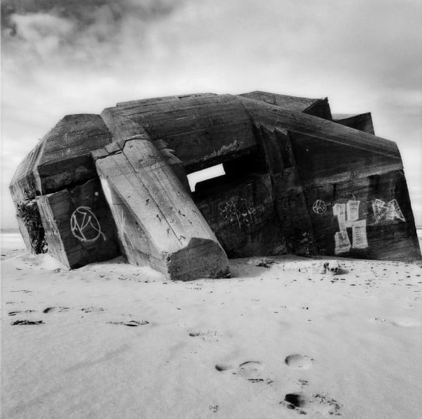 Jane And Louise Wilson, Sea Eagle (from the series Sealander), 2006