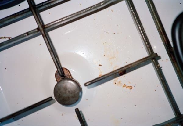 Anna Fox, Cockroach Diary, 1996