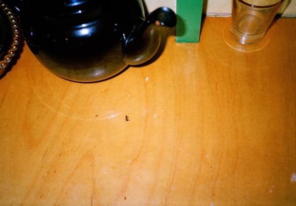 Anna Fox, Cockroach Diary, 1996