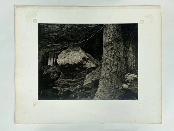 John Blakemore, From "Premonitions" (Craig Lledr, N. Wales), 1975