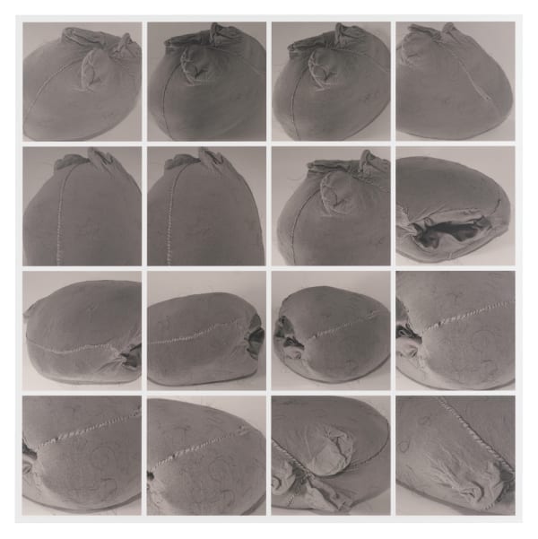 Sonia Boyce, Three Legs of Tights Stuffed With Afro Hair, 2015