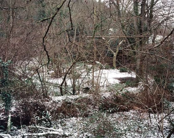 Jem Southam, The Painter's Pool, 03 January 2002, 2003