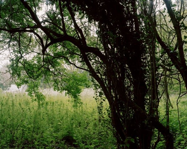 Mark Power, A System of Edges (26 Different Endings) 48 (P156 > S), 2005