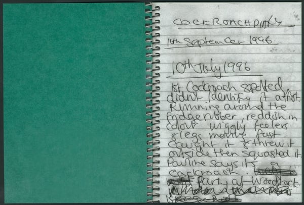 Anna Fox, Cockroach Diary, 1996