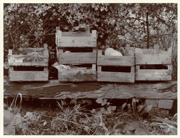 John Blakemore, The Neglected Garden (Boxes), 1980