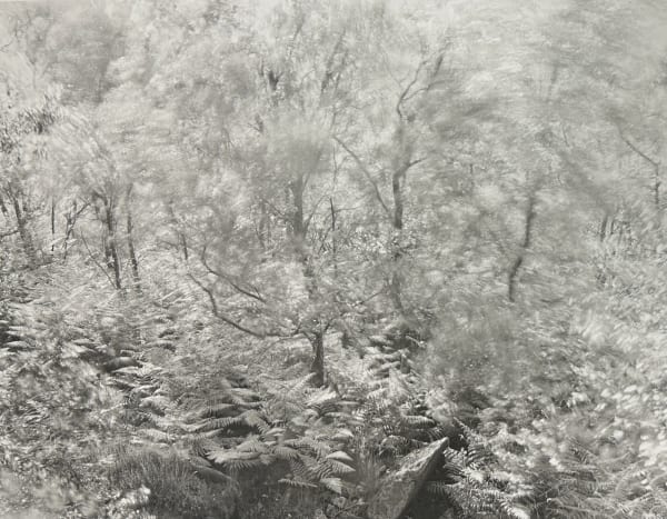 John Blakemore, From "Wind" Series II , No. 3, 1981