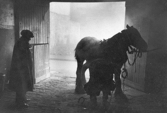 Bert Hardy, Life in the Elephant - In the Stable, 1948