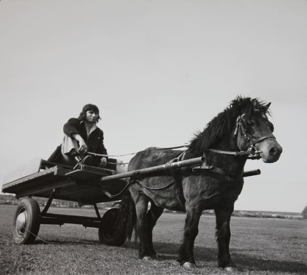 Jo Spence, Gypsies (horse and cart), 1974