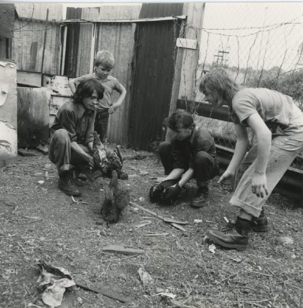 Jo Spence, Gypsies (cockfighting), 1974