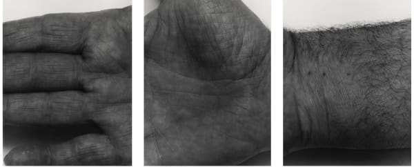 John Coplans, Self Portrait, Hands, Three Panels, Horizontal, No. 1 (triptych), 1988