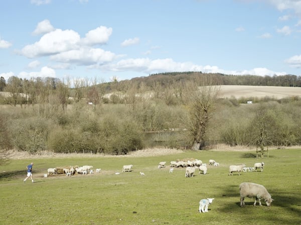 Simon Roberts, Proposed Route of High Speed 2 Railway, Amersham, Buckinghamshire, 2016, 2016