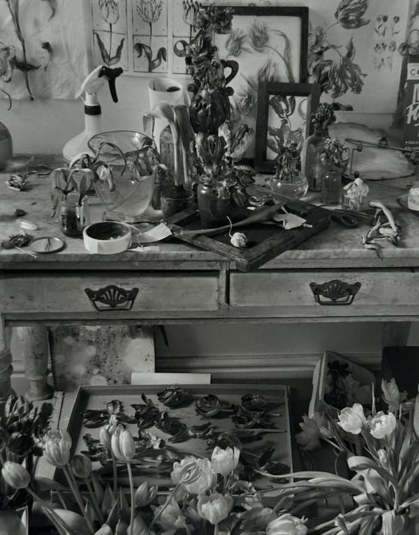 John Blakemore, Tulipa - The Studio Table, 1994