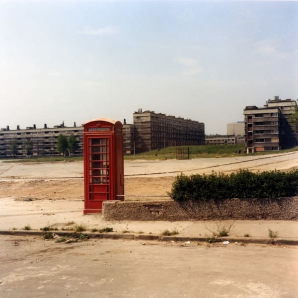 Peter Mitchell, Memento Mori, 2016