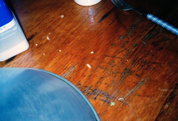 Anna Fox, Cockroach Diary, 1996