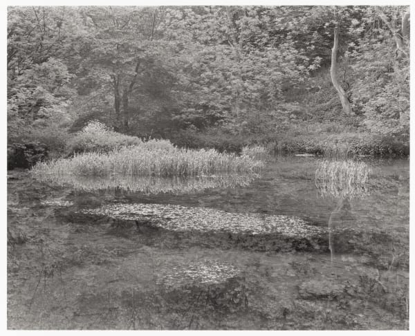 John Blakemore, From "Lila" (Lathkill Dale, Derbyshire), 1978