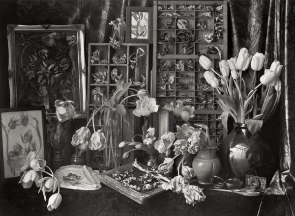 John Blakemore, Tulipomania No. 2, 1994