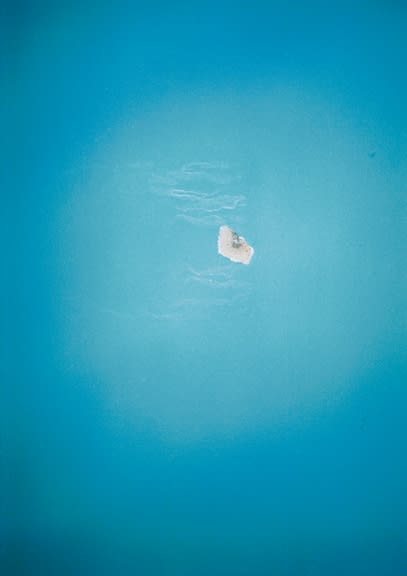 Anna Fox, 41 Hewitt Road (16), 1996-99