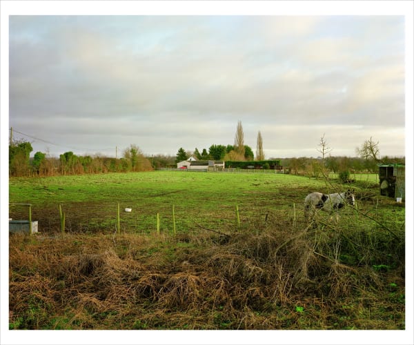 Mark Edwards, Paddock, Ditchingham, 2011, 2011